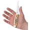 Case Cutlery Knife, Case 6.5 BoneStag Trapper with Wharncliffe Blade 65329 - alternate 3